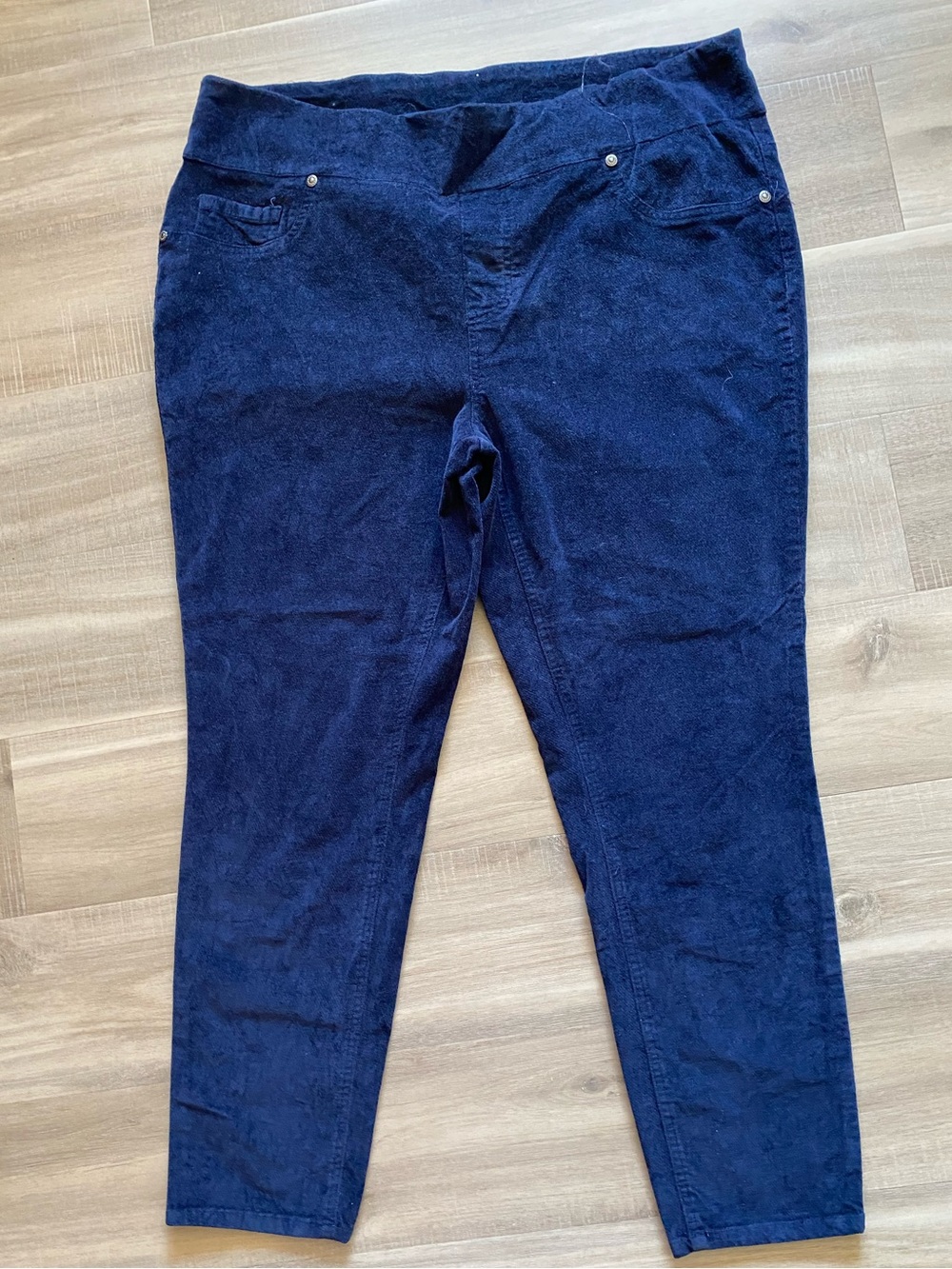 🦅 DG2 By Diane Gilman Women’s Pull On Pants